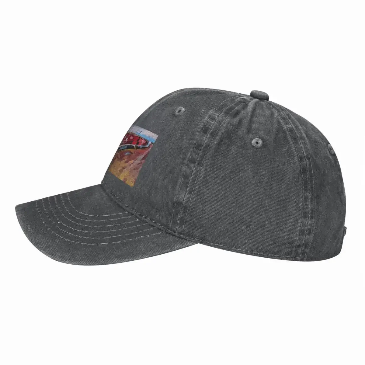 หมวกเบสบอล New The Ghan Train  - Streetwear Brand Australia บทวิจารณ์และราคา